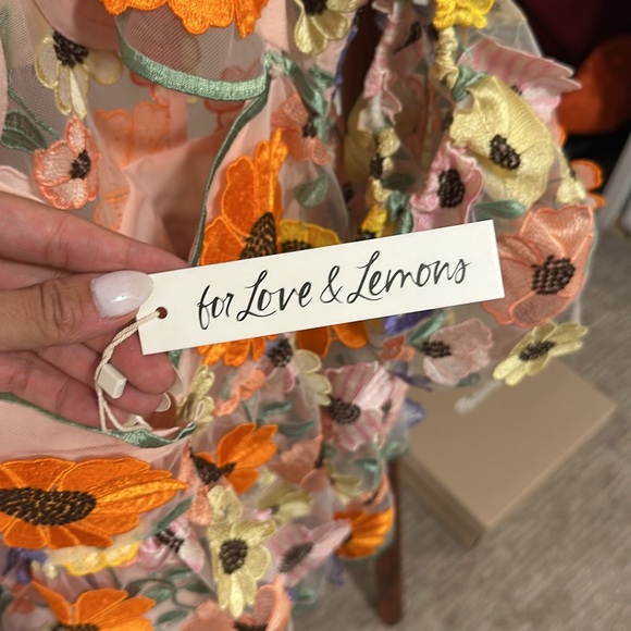 For Love & Lemons Floral Embroidered Sheer Mini Dress in Pastel Multi - Picture 8 of 11